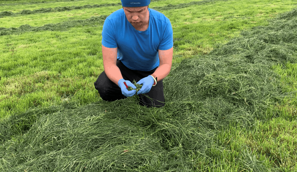 Minerals on farm